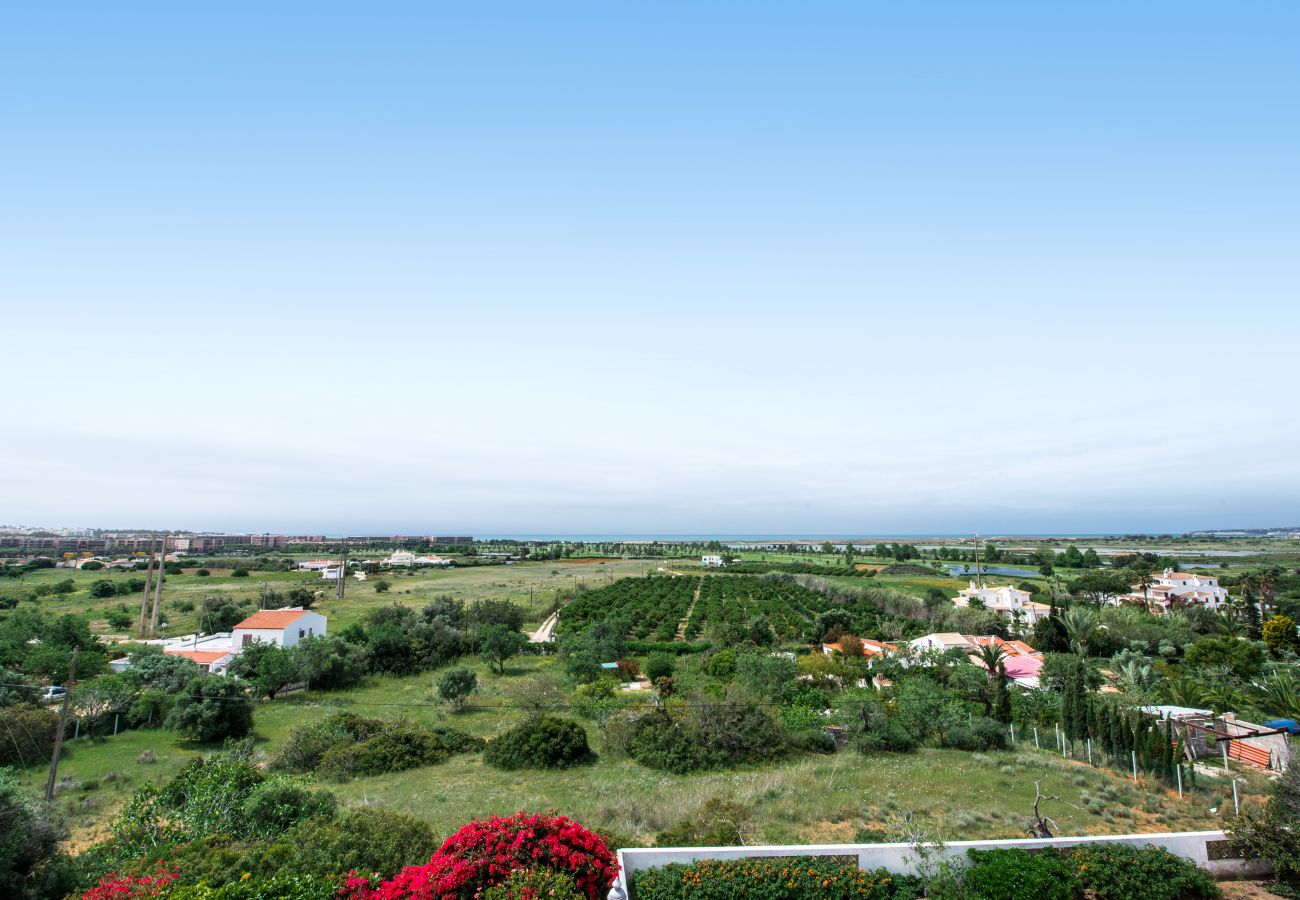 Villa in Albufeira - Villa Toriba