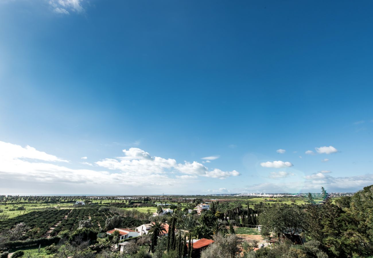 Villa in Albufeira - Villa Toriba