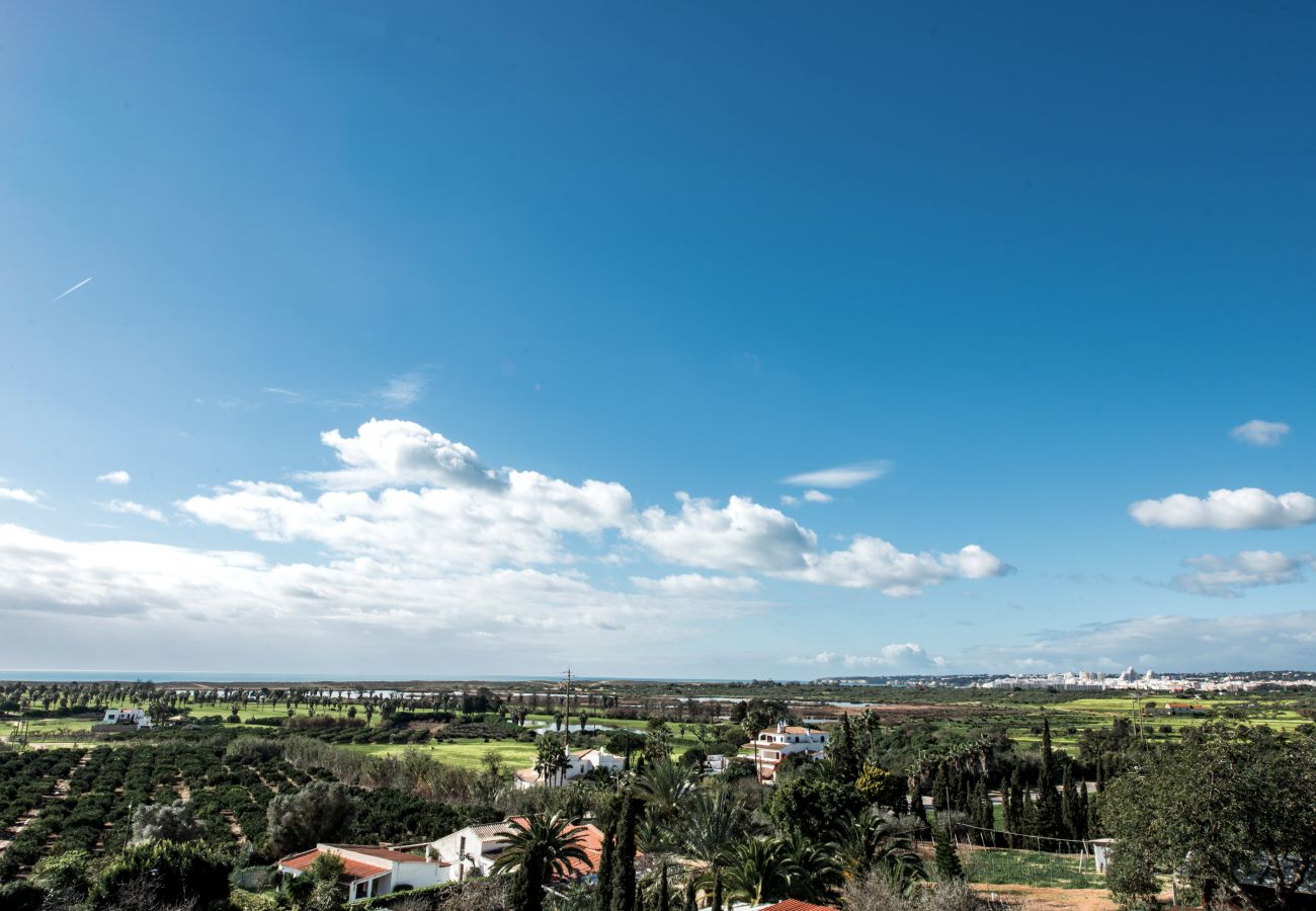 Villa in Albufeira - Villa Toriba